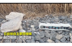 &#20061;&#28216;&#23448;&#26041;&#32593;&#39029;&#29256;&#45;&#20061;&#28216;&#40;&#20013;&#22269;&#41;